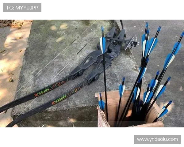 南京攀岩队战术对比深度解析与未来发展趋势探讨